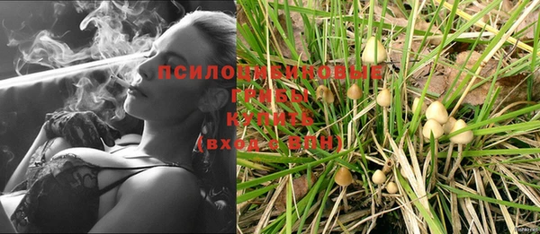шишки Кукмор
