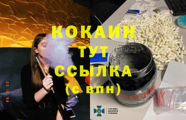 шишки Кукмор