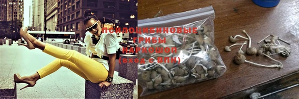 шишки Кукмор