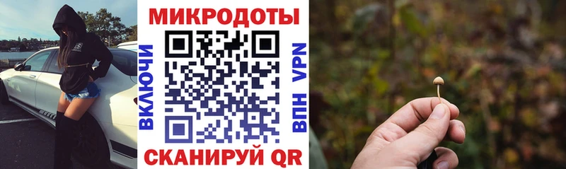 Галлюциногенные грибы Psilocybe  Купить где  Кувандык 